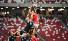 九游娱乐官方网站-赛道之巅，马丁内利在F1年度争冠之夜的绝对统治