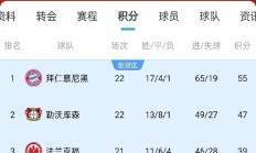 九游娱乐官方网站-包含勒沃库森取得连胜，提升德甲联赛排名的词条