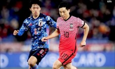 九游娱乐官方-国际米兰碾压日本，费兰·托雷斯爆发神勇的简单介绍
