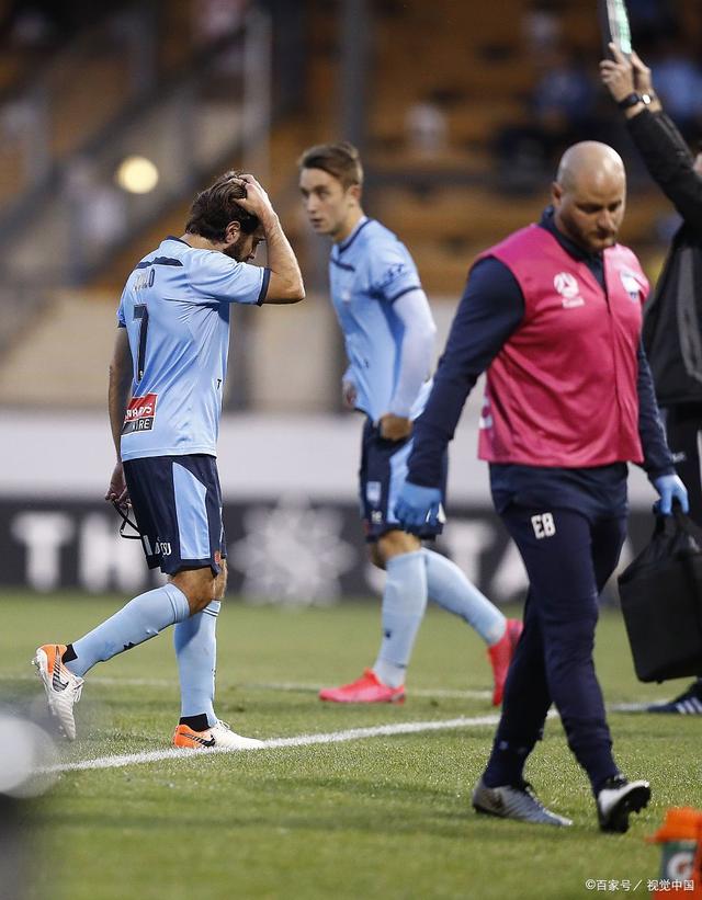 阿德莱德联士气高昂,连胜晋级四强的简单介绍 阿德莱德联士气高昂,连胜晋级四强的简单介绍