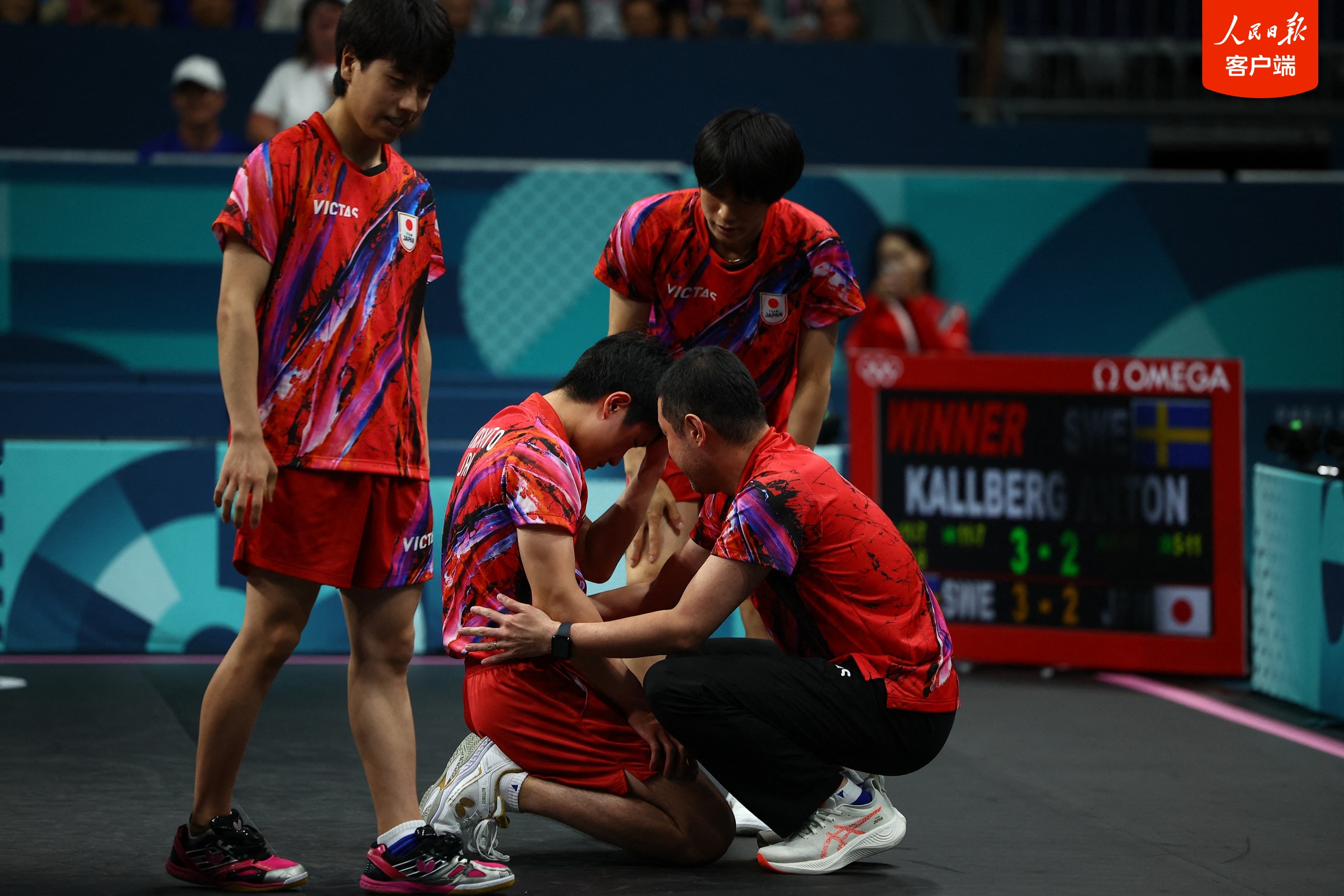 奥地利队鏖战法国队，张本智和状态火热的简单介绍