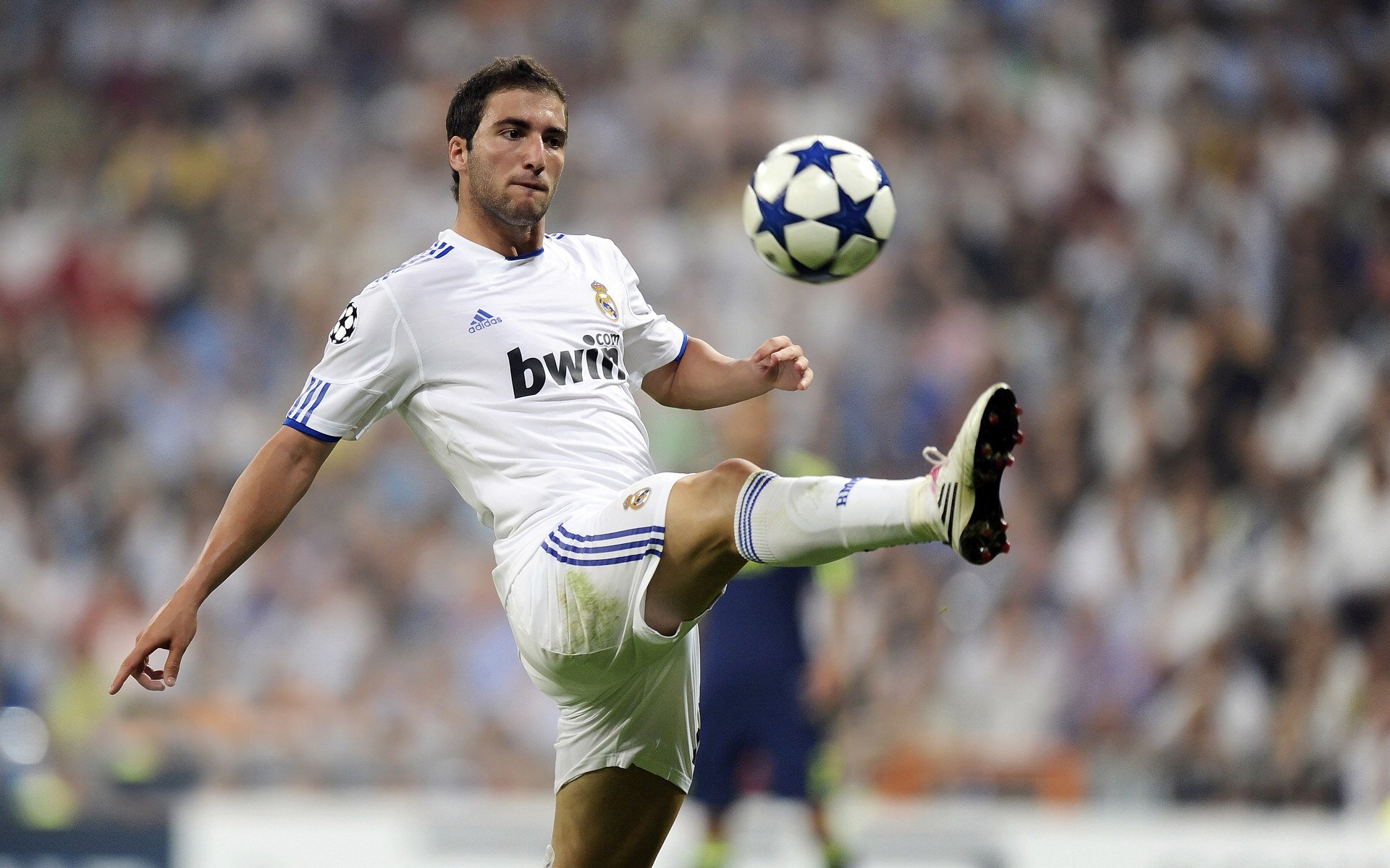 武切维奇，跨洋焦点战，一役证名